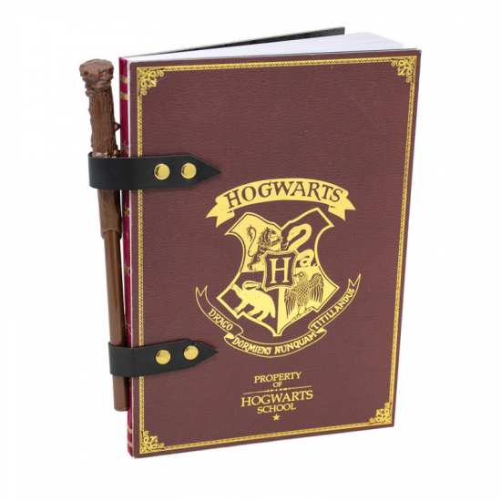 Harry Potter - Carnet Property of Hogwarts School et baguette crayon