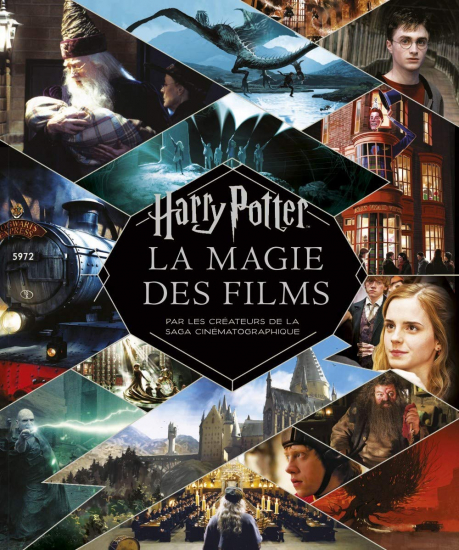 Harry Potter - la magie des films (Ned)