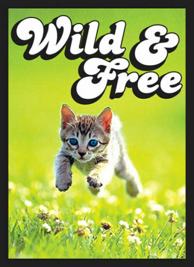 Legion - Protège carte japonaise x60 kitten Wild & Free