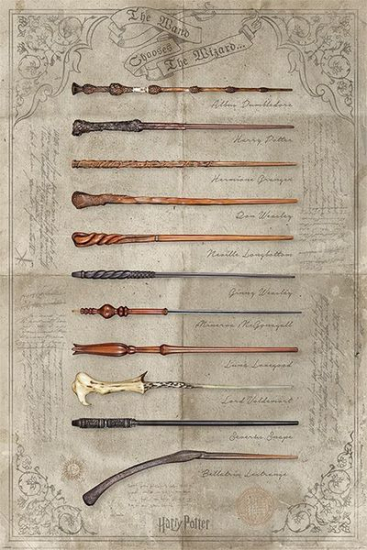 Harry Potter - poster The Wand Chooses The Wizard