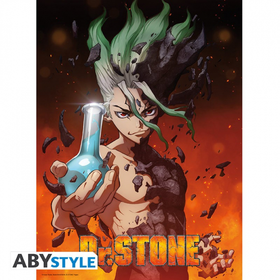 Dr Stone - Poster petit format Senku