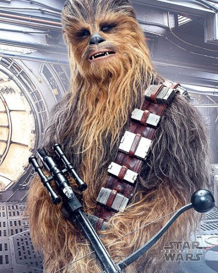 Star Wars - Poster petit format Chewbacca Bowcaster (the Last Jedi)
