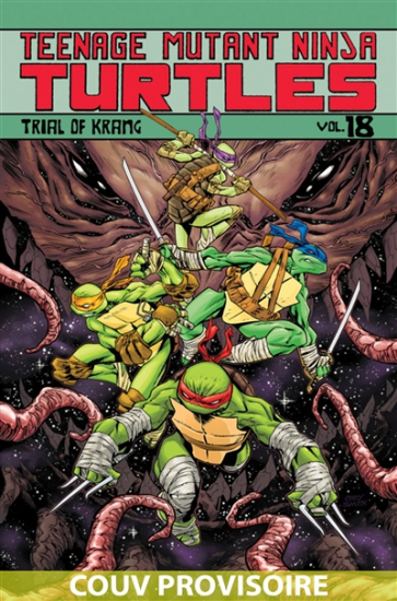 Teenage mutant ninja Turtles : les Tortues ninja N°14