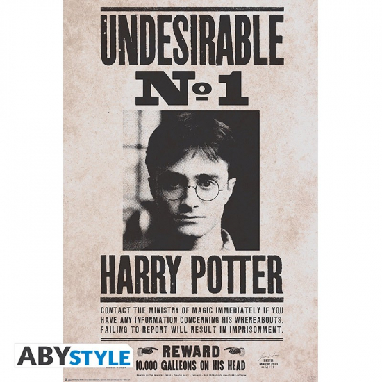 Harry Potter- Poster grand format Indésirable N°1