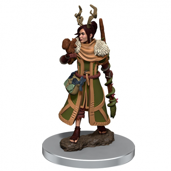 D&D - Figurine Icons of the Realms premium Druide humain femme