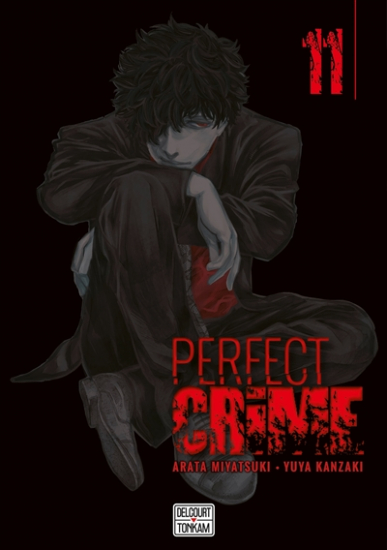 Perfect crime N°11