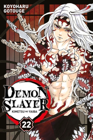Demon slayer N°22